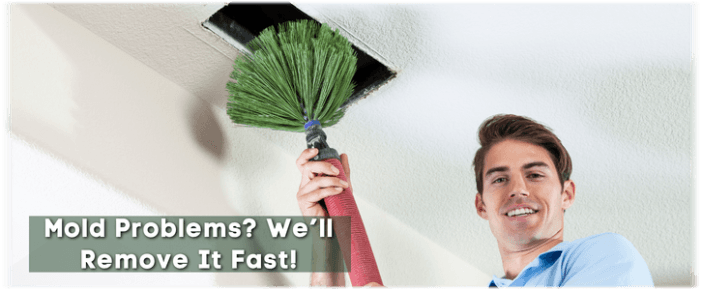 Air Duct Mold Removal in Elgin IL