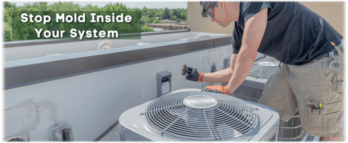 HVAC Mold Removal Elgin IL